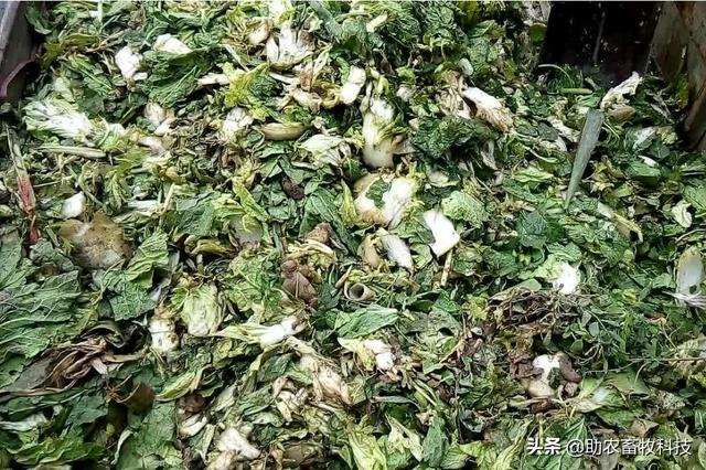 果蔬廢棄物垃圾怎樣進行科學(xué)資源化無害化減量化處理？